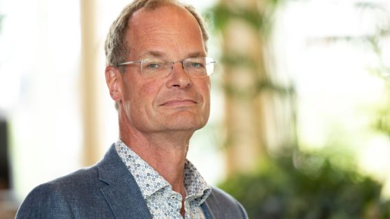 Henk Brink, WMD