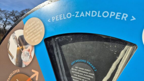 AM Peelo-zand