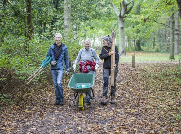 Natuurwerkdag 2025
