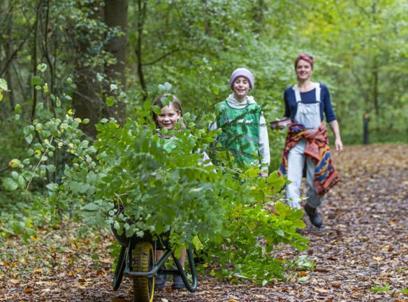Natuurwerkdag 2025