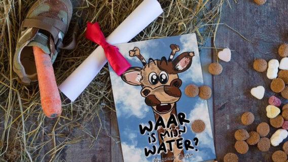 Kinderboek Sinterklaas