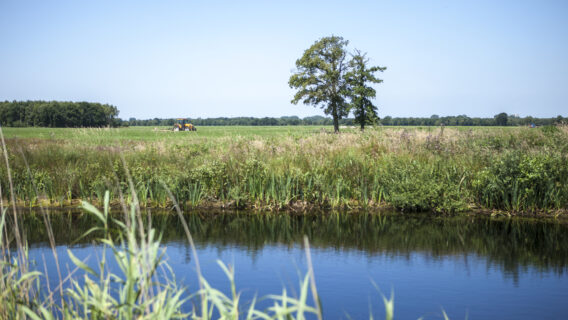 Waterwingebied Holtien