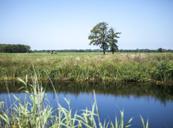 Waterwingebied Holtien