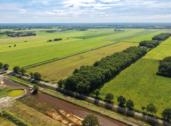 Waterwingebied Holtien